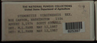Image Associated With the Occurence